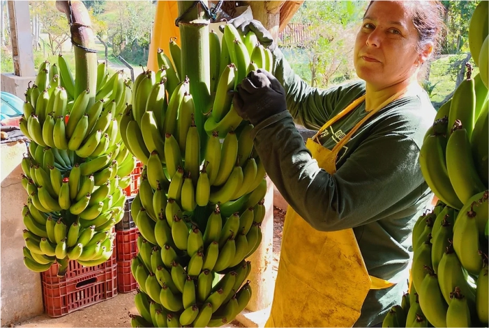 Mulher segurando bananas
