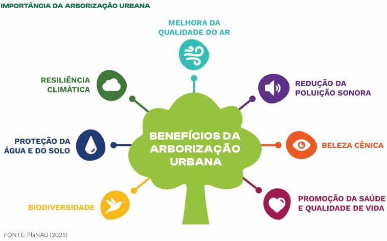 Arborização urbana Card com informações sobre arborização urbana