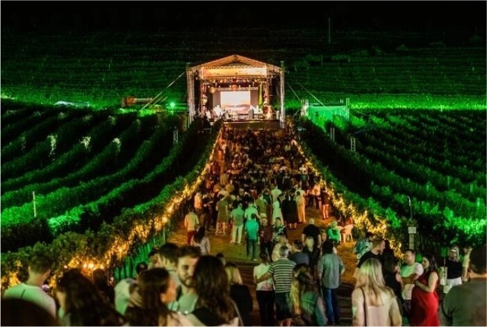 Diversas pessoas em frente ao palco 