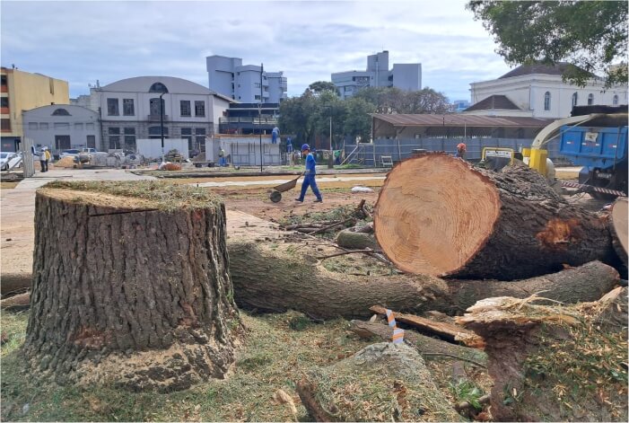 Praça do Trem Troncos cortados