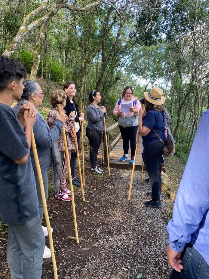 Pessoas caminhando em floresta