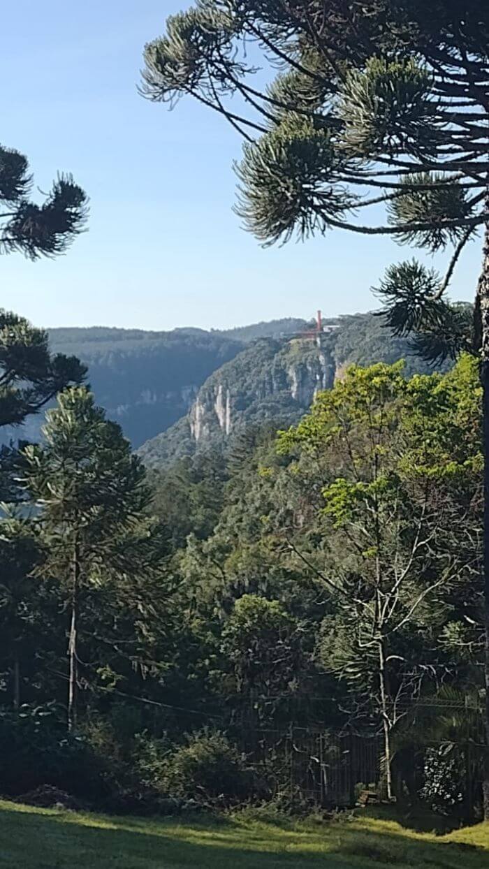 Floresta