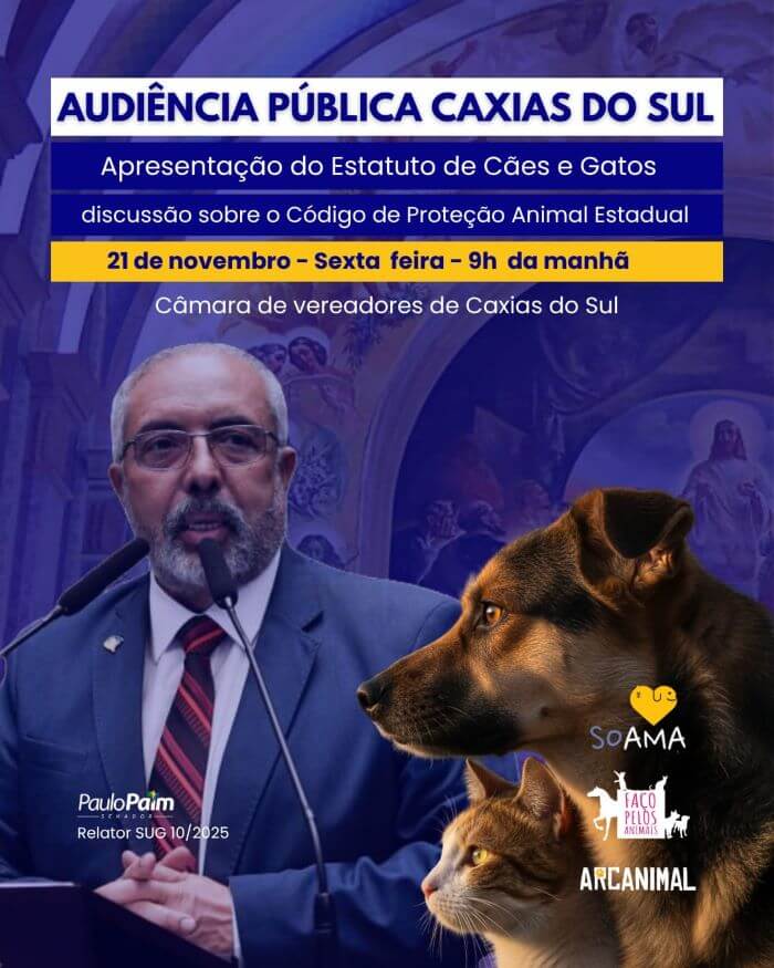 Audiência Pública Card Audiência Pública