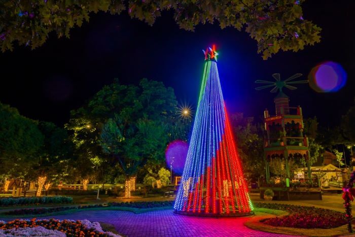 Árvore de natal iluminada em praça