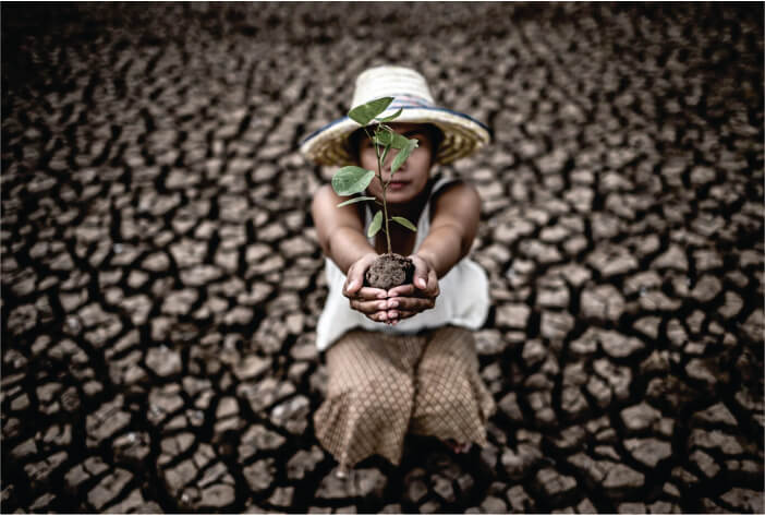 Mulher oriental em terra seca segurando árvore nas mãos